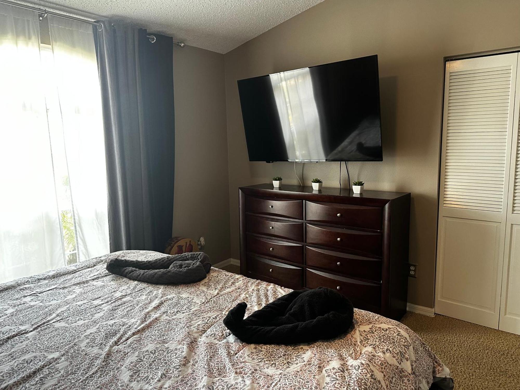 Cozy 3 Bedroom Home Close To Everything In Tampa! エクステリア 写真