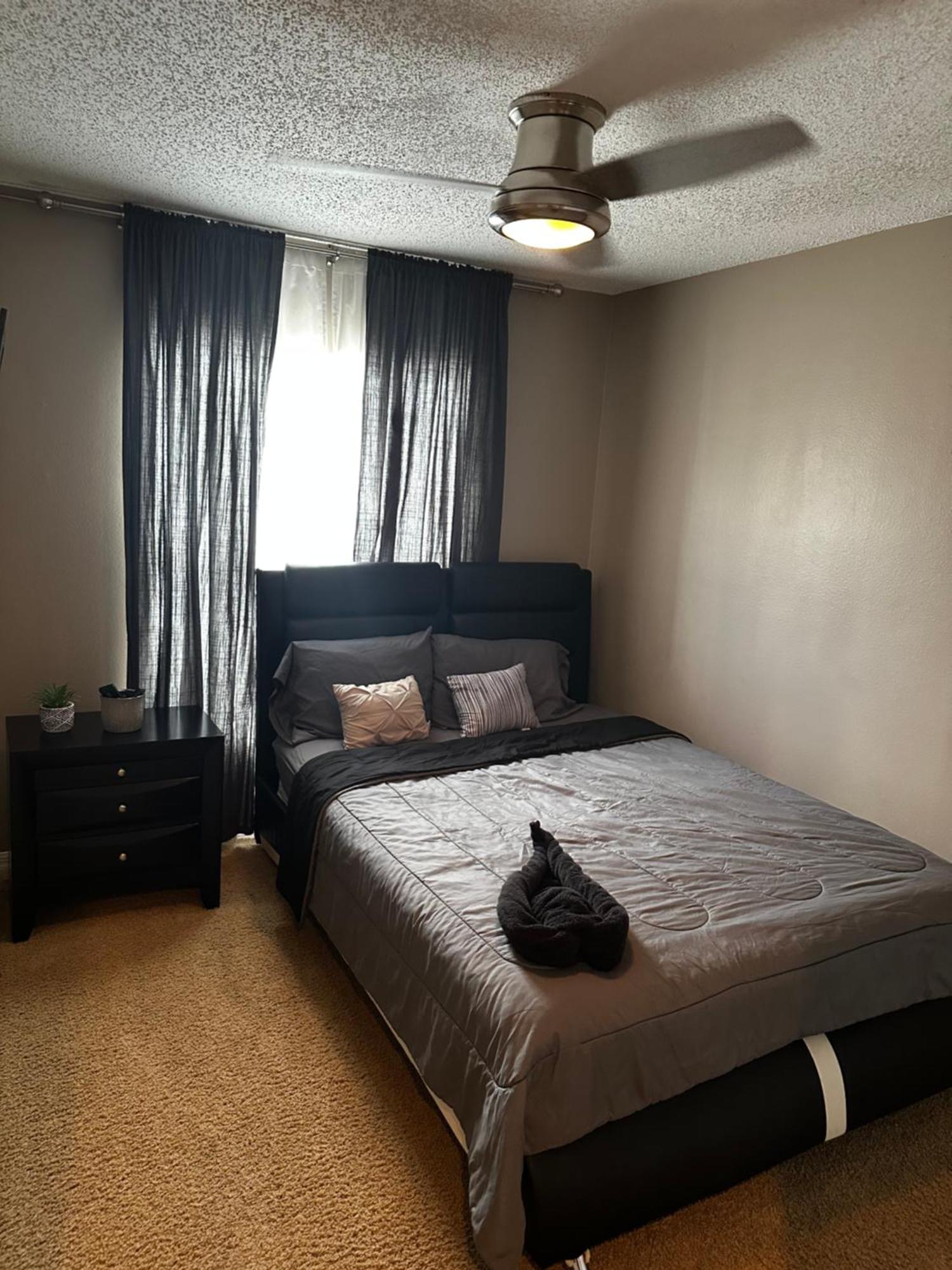 Cozy 3 Bedroom Home Close To Everything In Tampa! エクステリア 写真
